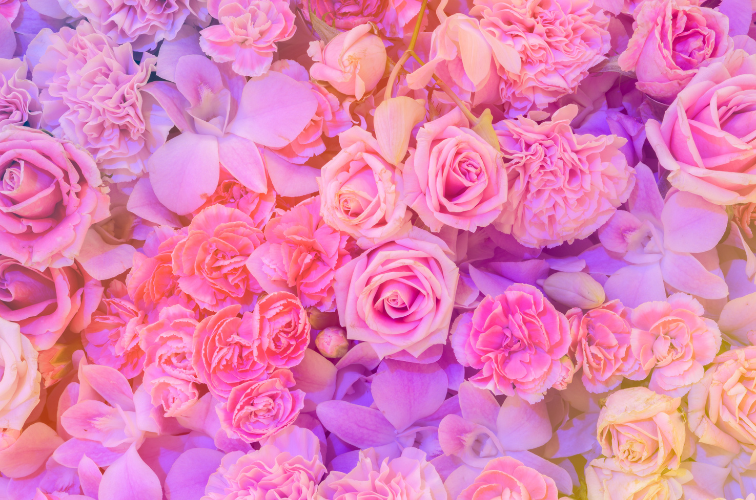 Pink flower background